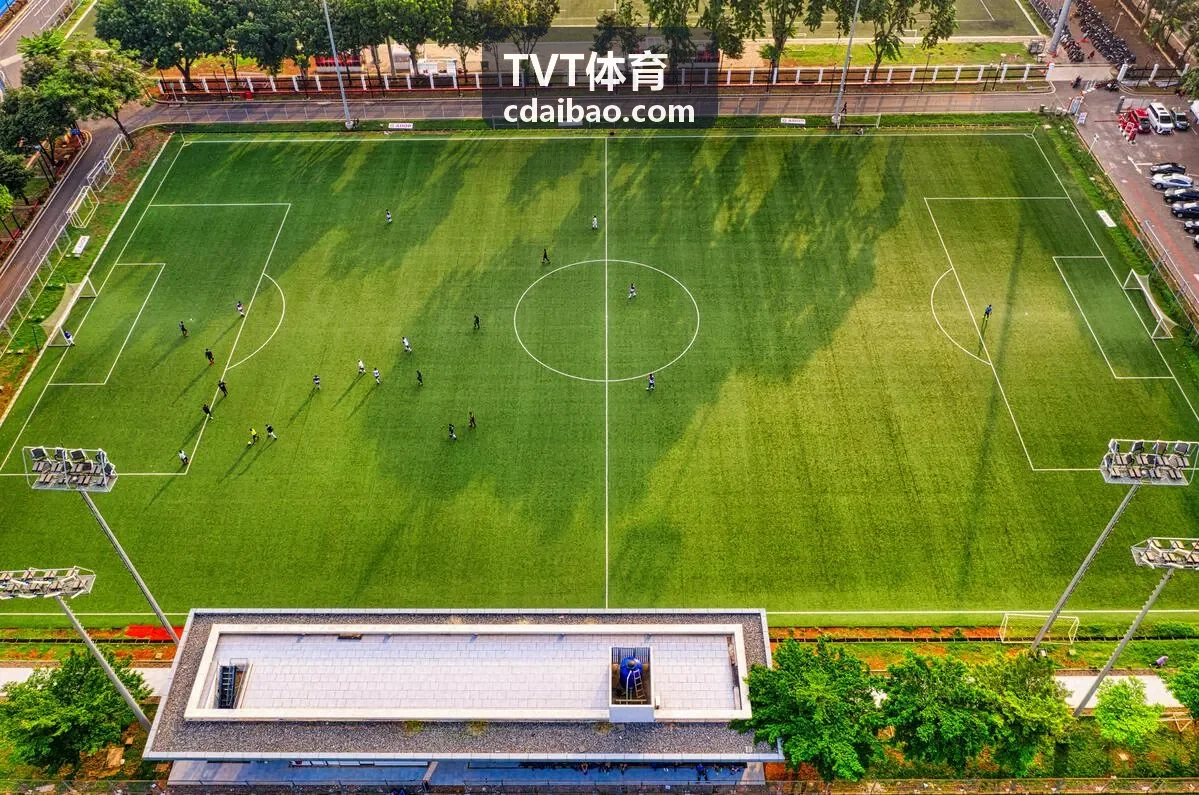 TVT体育竞技数据可视化界面